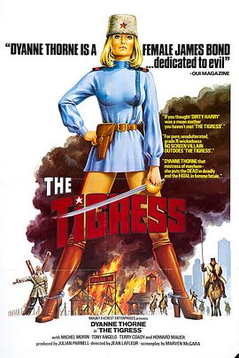 潍坊专业seo优化排名费用